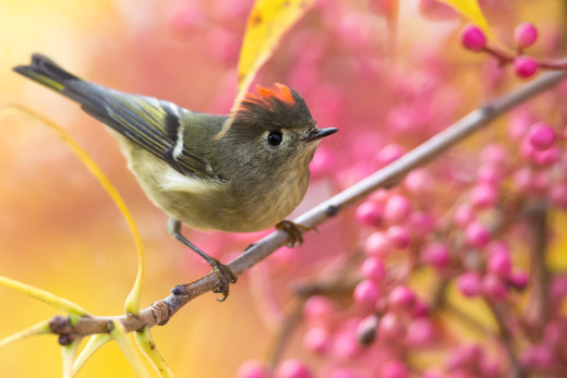 1665969 (a): :3829x2553